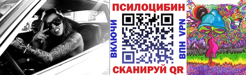 Купить где  Кущёвская  Псилоцибиновые грибы Psilocybine cubensis 